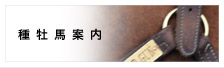 種牡馬案内へリンク