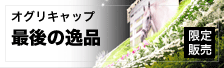 オグリキャップ記念品