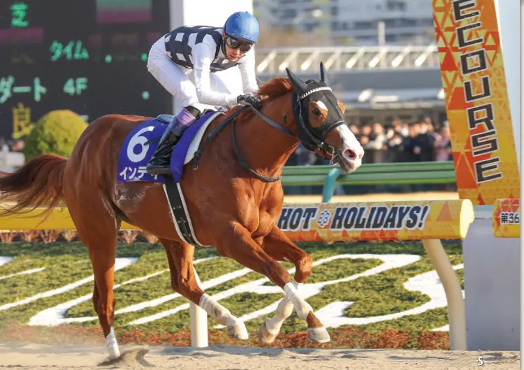 優駿スタリオンステーション 種牡馬 -2023- のご案内 優駿